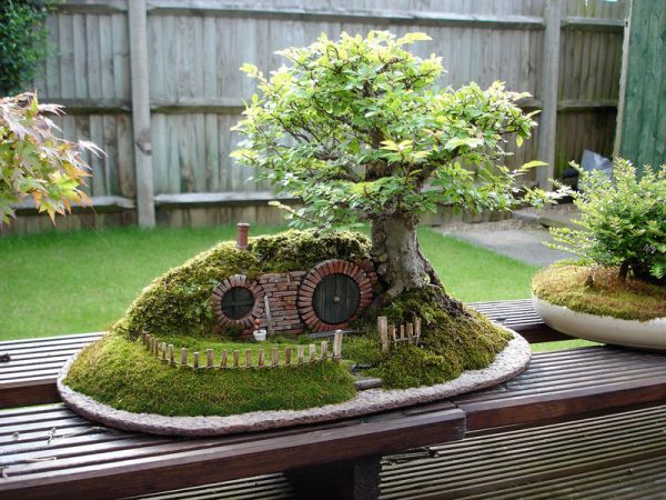 Bonsai-Tree-Decor-Inspiration5